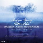 دانلود اهنگ محسن امیری مقدم به نام مادام بوواری