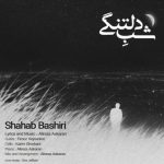 دانلود آهنگ شهاب بشیری شب دلتنگی