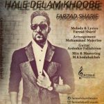 اهنگ جدید فرزاد شریف حال دلم خوبه
