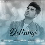 دانلوداهنگ حامد هیرمان دلتنگی