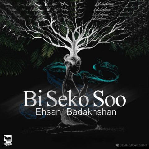 دانلود آهنگ احسان بدخشان بی سک سو دانلود آهنگ بی سک سو احسان بدخشان