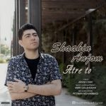 عطر تو شاهین انجم متن