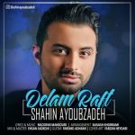 اهنگ جدید شاهین ایوب زاده به نام دلم رفت