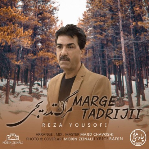 دانلود آهنگ رضا یوسفی مرگ تدریجی دانلود آهنگ مرگ تدریجی رضا یوسفی