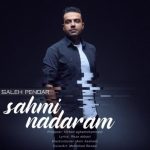 دانلود آهنگ صالح پندار سهمی ندارم