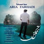 متن اهنگ تحمل کن آریا فرهادی