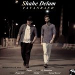اهنگ تاوان بند شاه دلم