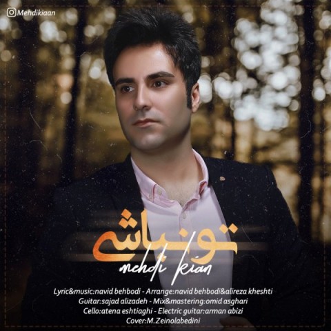 دانلود آهنگ مهدی کیان تو نباشی دانلود آهنگ تو نباشی مهدی کیان