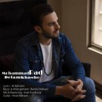 اهنگ جدید محمد راد دلم خوشه