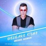 دلبر خاص از مهدی نامجو