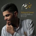 اهنگ جدید محمود زمانی به نام من عشقو بلدم