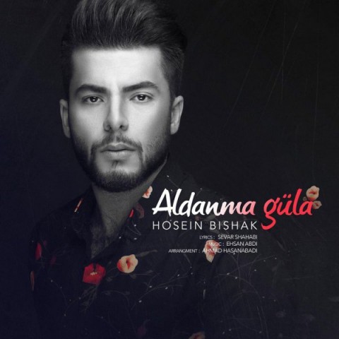 دانلود آهنگ حسین بی شک آلدانما گوله دانلود آهنگ آلدانما گوله حسین بی شک