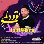 دانلود اهنگ سعید نورمحمدی توو دلمی