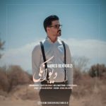 دانلود آهنگ جدید حامد بهروزی دیوانگی