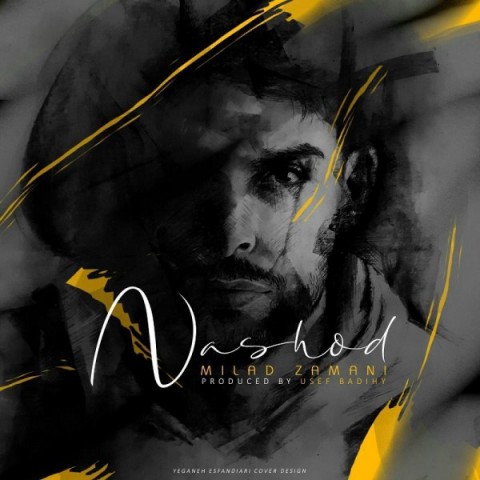 دانلود آهنگ میلاد زمانی نشد دانلود آهنگ نشد میلاد زمانی