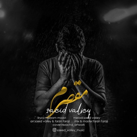 دانلود آهنگ سعید ولیی مقصرم دانلود آهنگ مقصرم سعید ولیی