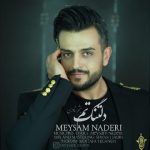 متن اهنگ دلتنگنم میثم نادری