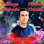 شاهین یوسفی تابلوی نقاشی دانلود