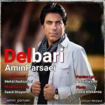 امین پارسایی دلبری