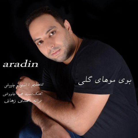 دانلود آهنگ آرادین بوی موهای گلی دانلود آهنگ بوی موهای گلی آرادین