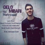 آهنگ جدید علی مهرزاد دلو میبری