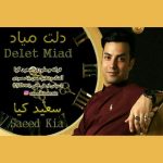 دانلود آهنگ سعید کیا دلت میاد