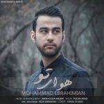 دانلود آهنگ محمد ابراهیمیان هوای تو