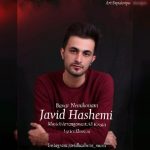 دانلود آهنگ جاوید هاشمی باور نمیکنم