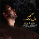 دانلود آهنگ مرتضی سربلند دل تنگ