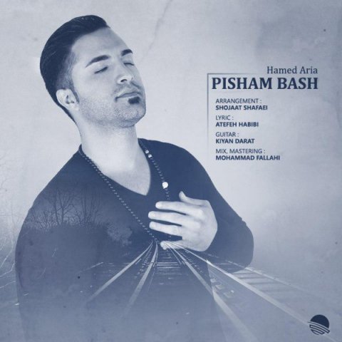 دانلود آهنگ حامد آریا پیشم باش دانلود آهنگ پیشم باش حامد آریا