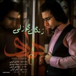اهنگ جدید هادی کرمی بنام زنجان گوزلی