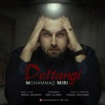 دلتنگی از محمد میری