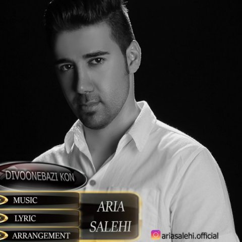 دانلود آهنگ آریا صالحی دیوونه بازی کن دانلود آهنگ دیوونه بازی کن آریا صالحی