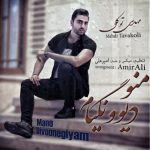 متن اهنگ منو دیوونگیام مهدی توکلی