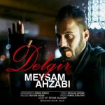 دانلود اهنگ جدید میثم احزابی دلگیر