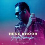 شایان پورحیدری حس خوب