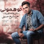 دانلود آهنگ حمزه شیخ حسینی تو همونی