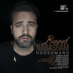 آهنگ جدید هوشمند باید نباشم