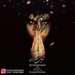 شهاب الدین شفائی تنهایی سر کردی متن