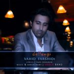 اهنگ جدید وحید فرشیدی دلتنگی