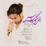 علیرضا شادمانی رقص نسیم و گل یاس 320