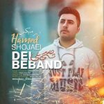 ریمیکس جدید حامد شجاعی بنام دل ببند