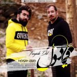 دانلود اهنگ میثم راد به نام فریاد دل