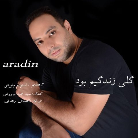 دانلود آهنگ آرادین گلی زندگیم بود دانلود آهنگ گلی زندگیم بود آرادین