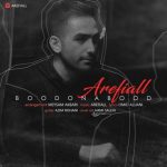 بود و نبود از عارفیال