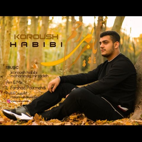 دانلود آهنگ کوروش حبیبی پاییز بی رحم دانلود آهنگ پاییز بی رحم کوروش حبیبی