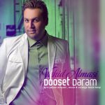 دانلود اهنگ وحید الماسی دوست دارم