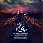 دانلود اهنگ امیر مهدی ولی پور بنام هوای محرم