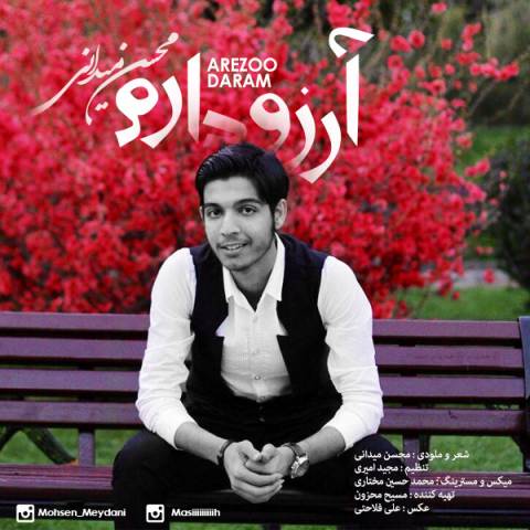 دانلود آهنگ محسن میدانی آرزو دارم دانلود آهنگ آرزو دارم محسن میدانی