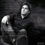 اهنگ تورو میخوامت امین سعیدی